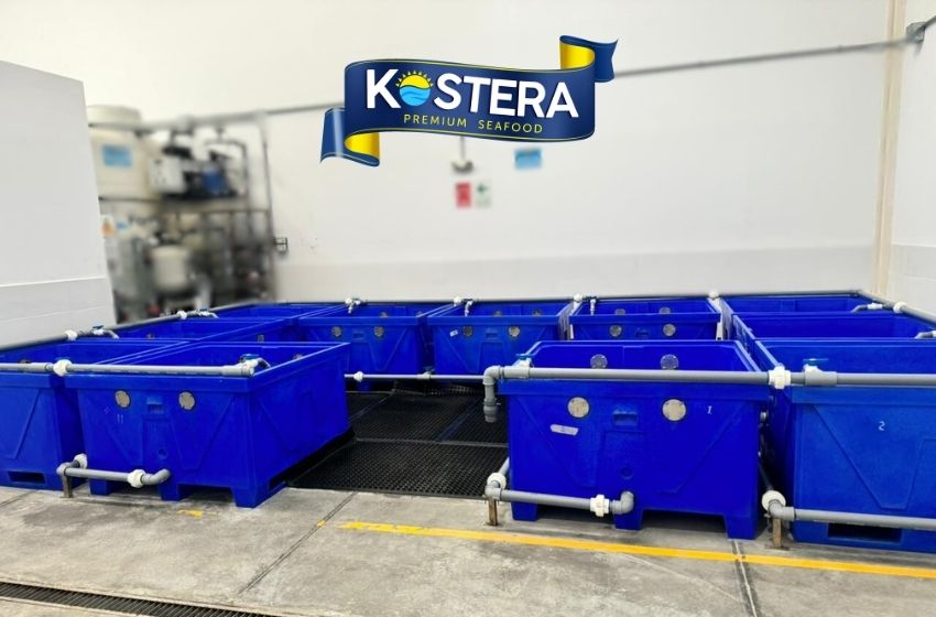 Purification tanks at KOSTERA’s mollusk processing facility in Peru