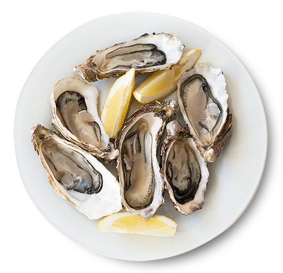 High-quality purified bivalve mollusks from Kostera, Peruvian seafood export leader